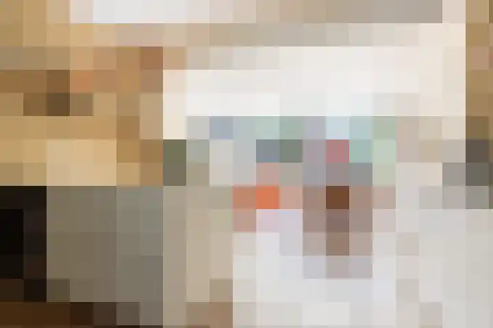 Woubruggestraat 40 1 Amsterdam thumbnail 9