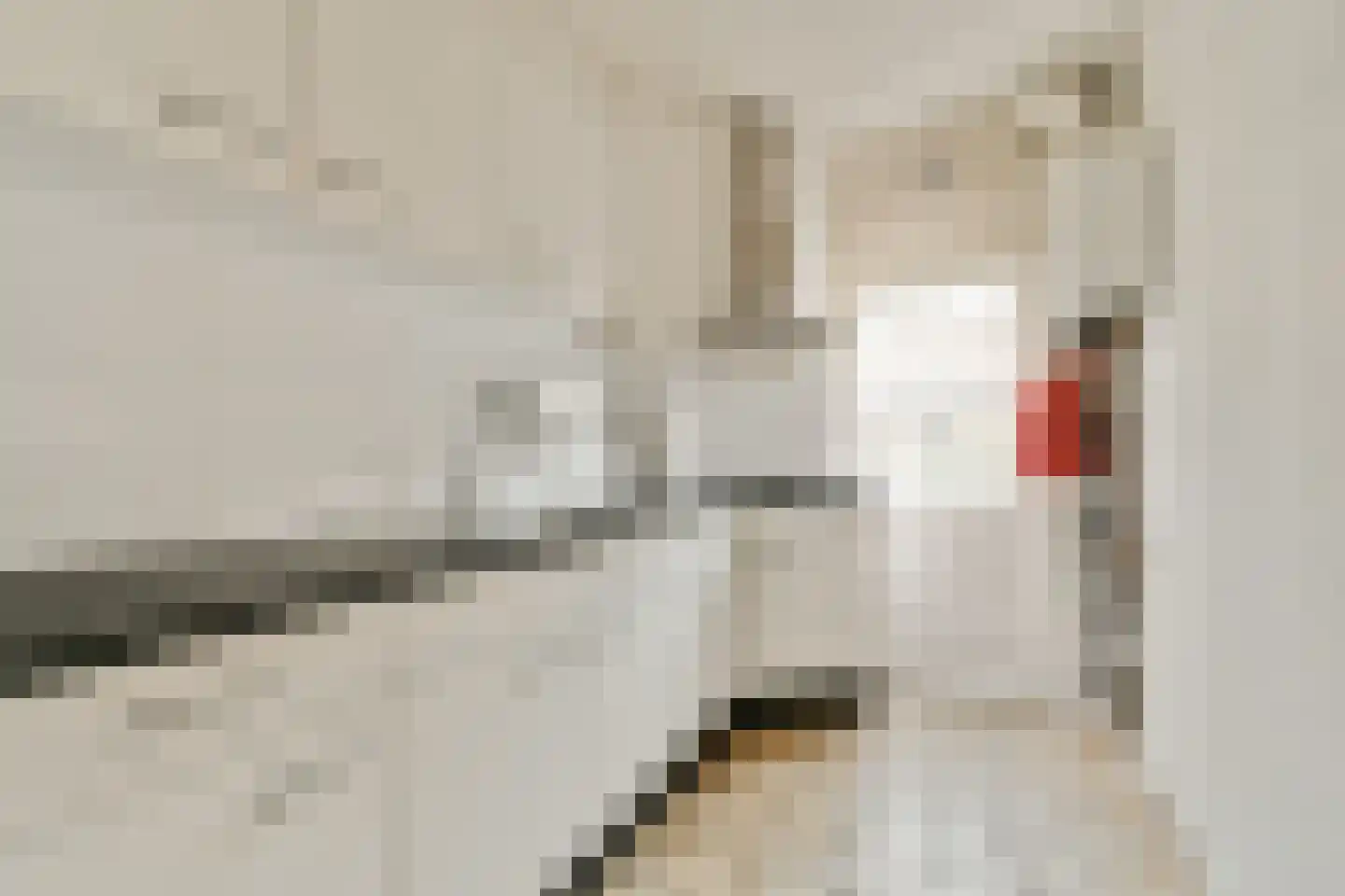 Woubruggestraat 5 1 Amsterdam thumbnail 11