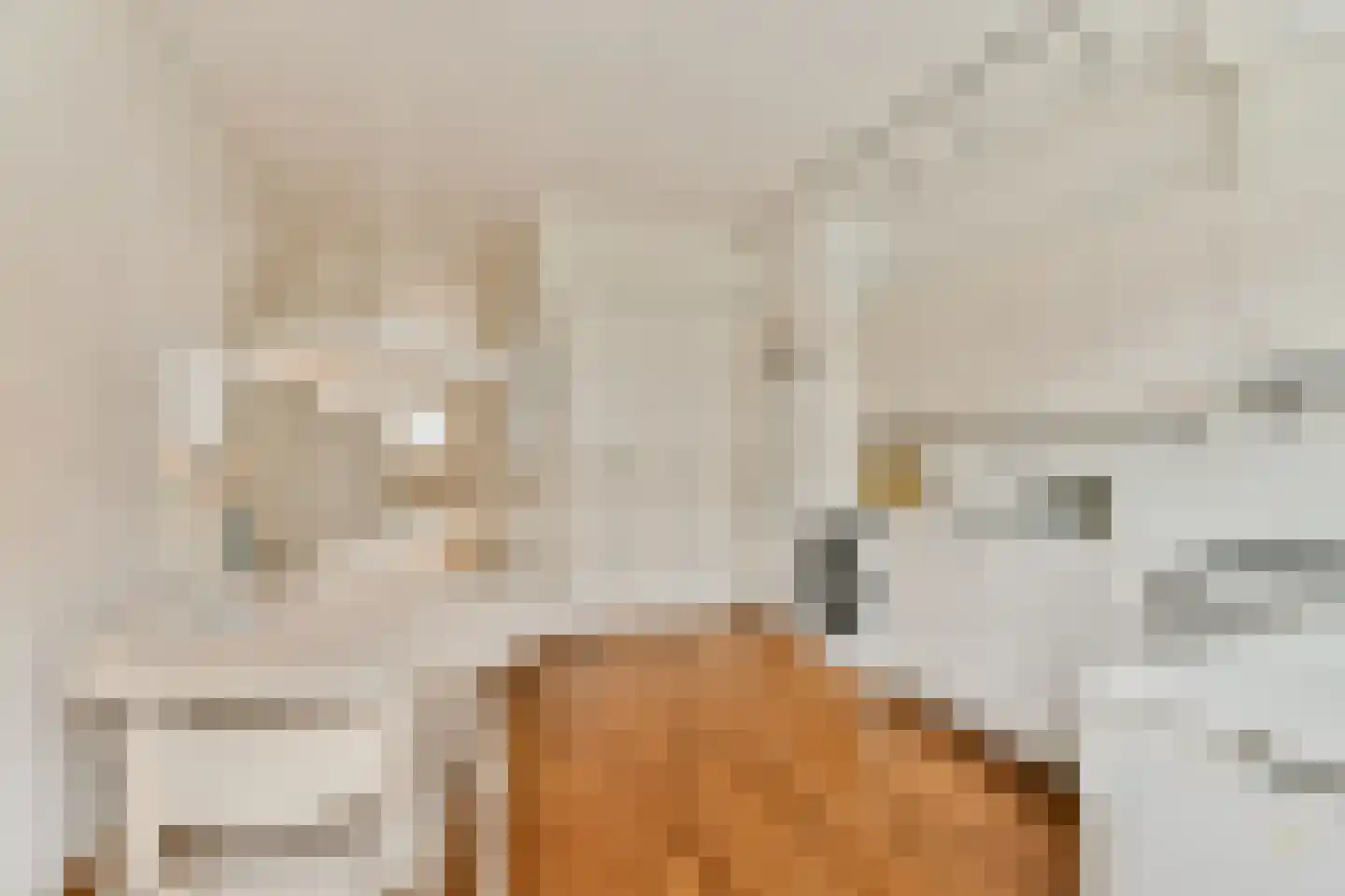 Woubruggestraat 9 1 Amsterdam thumbnail 4