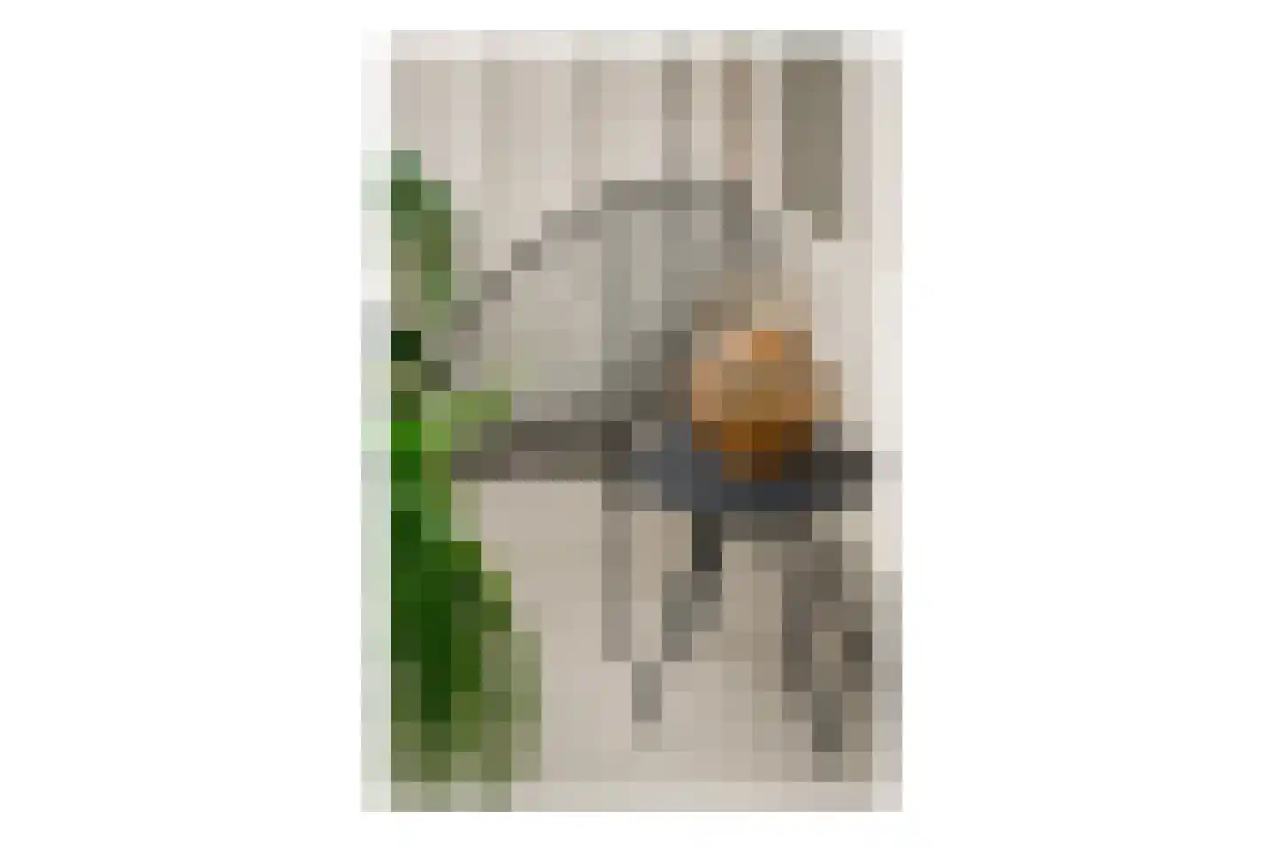 Woubruggestraat 9 2 Amsterdam thumbnail 19