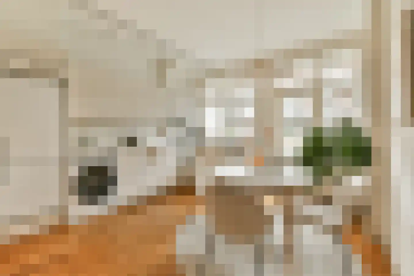 Woubruggestraat 9 2 Amsterdam thumbnail 7
