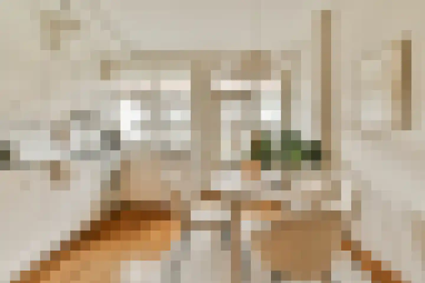 Woubruggestraat 9 2 Amsterdam thumbnail 8