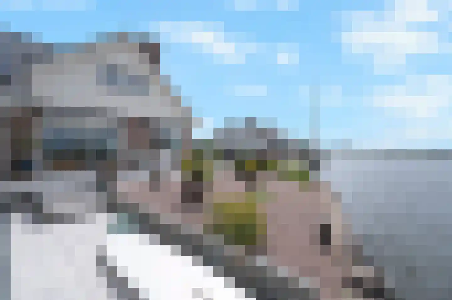 Woubrugseweg 3 Alphen aan den Rijn thumbnail 10