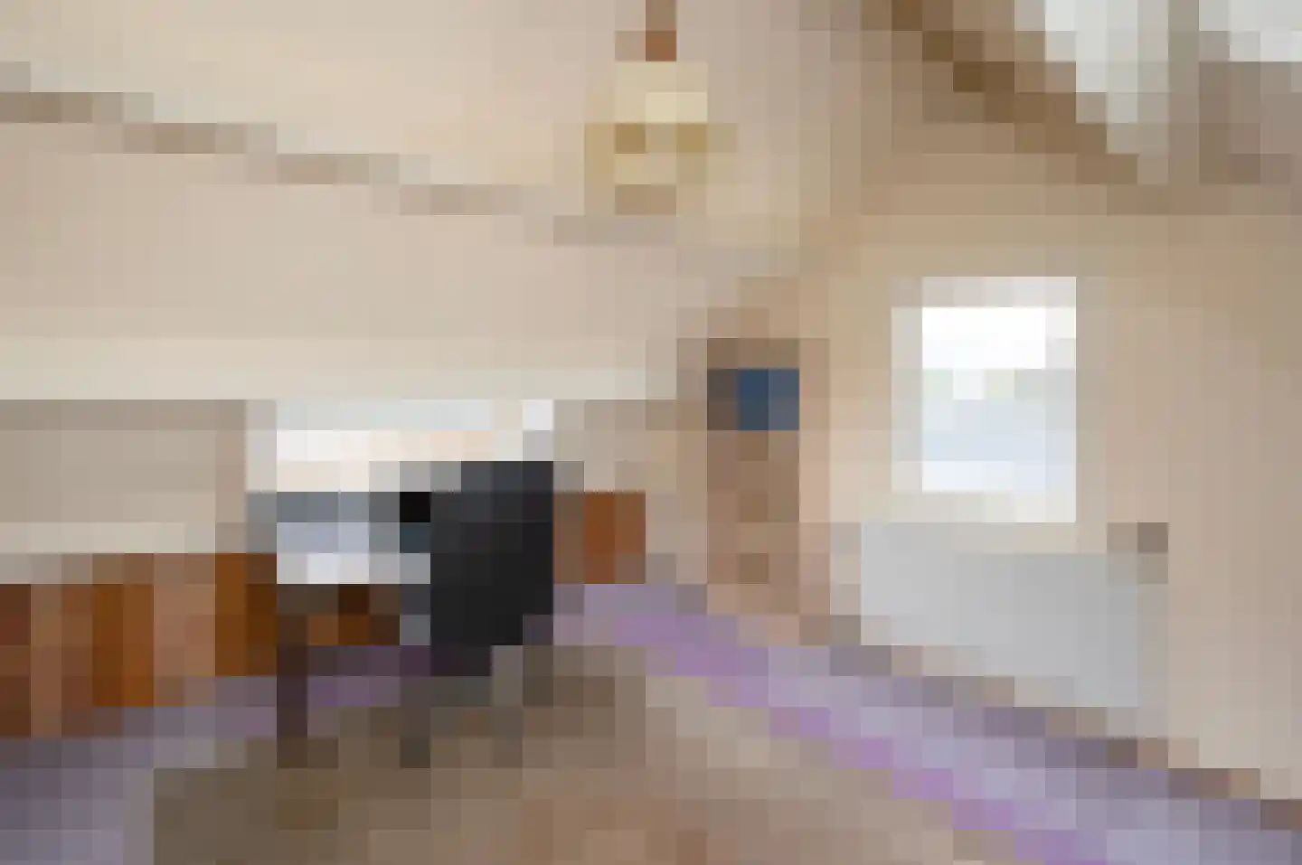 Woubrugseweg 3 Alphen aan den Rijn thumbnail 33