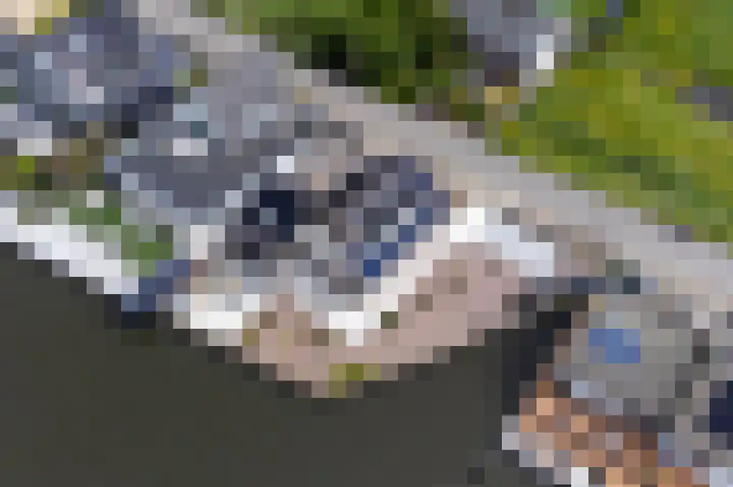 Woubrugseweg 3 Alphen aan den Rijn thumbnail 4