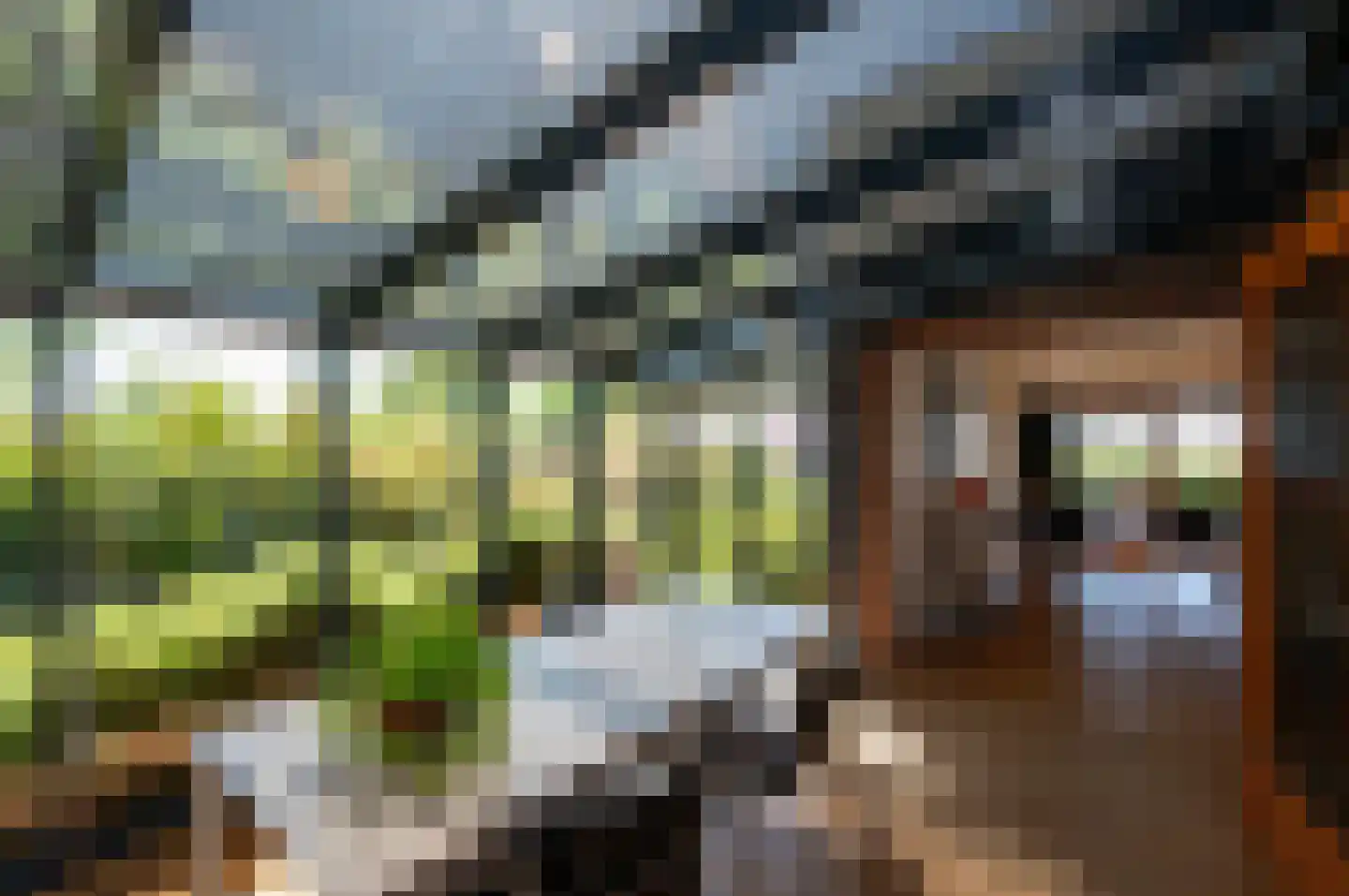 Woubrugseweg 74 Alphen aan den Rijn thumbnail 22
