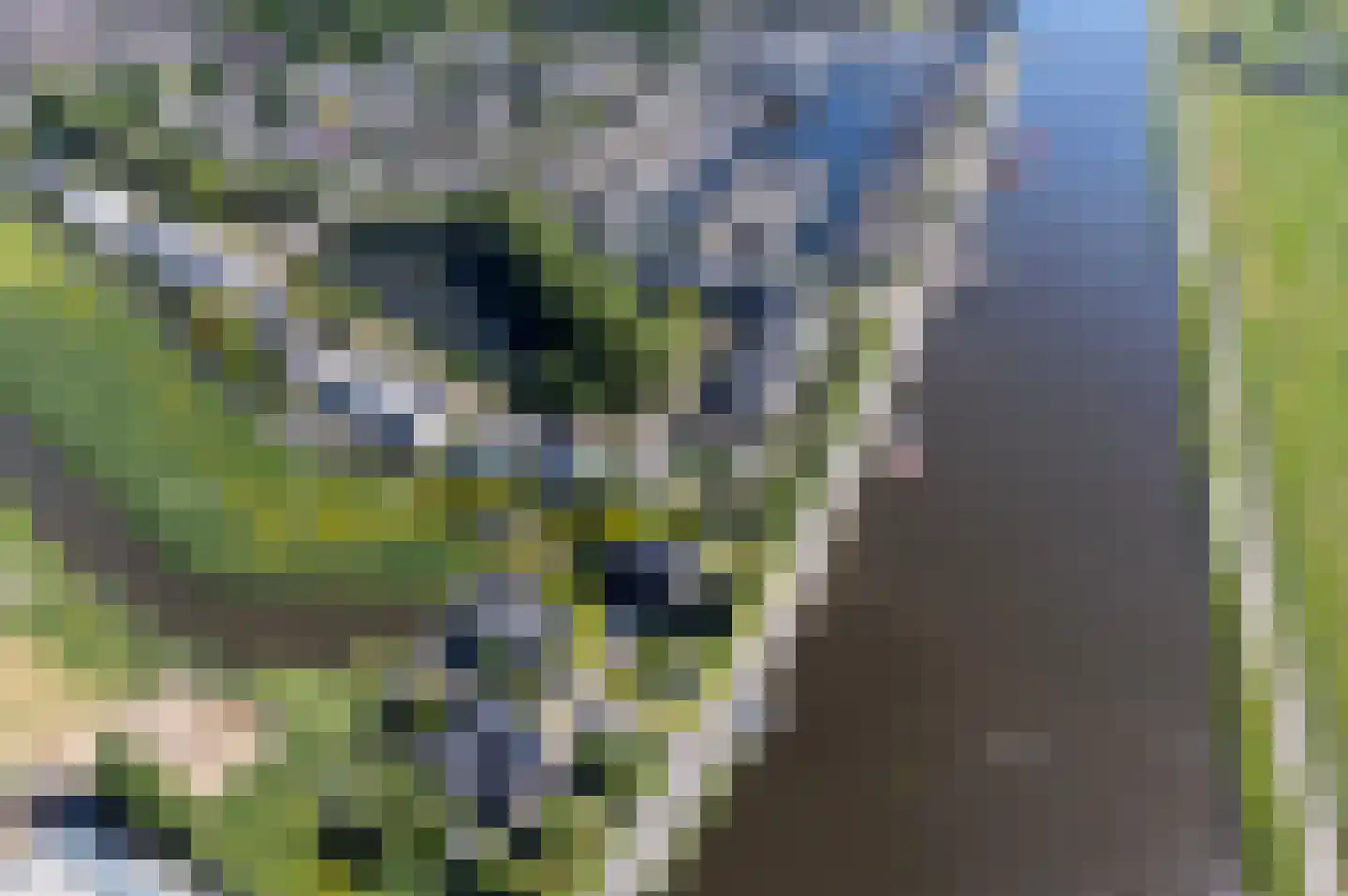 Woubrugseweg 74 Alphen aan den Rijn thumbnail 45