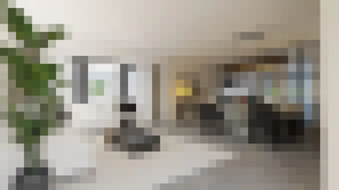 Woubrugseweg 74 Alphen aan den Rijn thumbnail 7