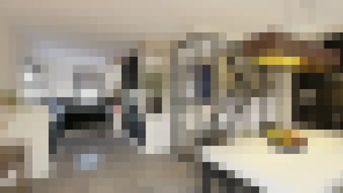 Woubrugseweg 74 Alphen aan den Rijn thumbnail 9