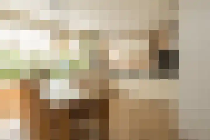 Wouda 10 Hillegom thumbnail 13