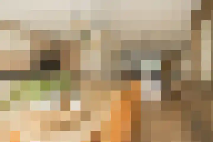 Wouda 10 Hillegom thumbnail 14