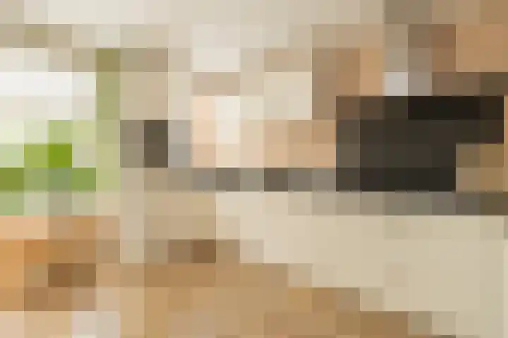 Wouda 10 Hillegom thumbnail 17