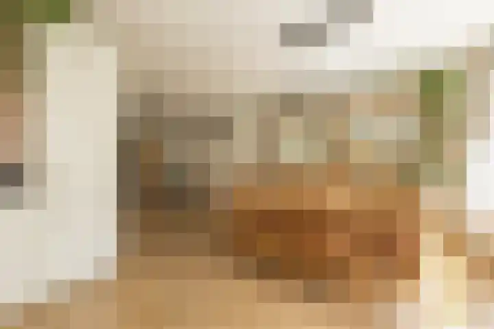 Wouda 10 Hillegom thumbnail 18