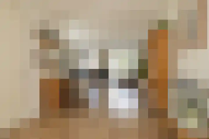 Wouda 10 Hillegom thumbnail 19