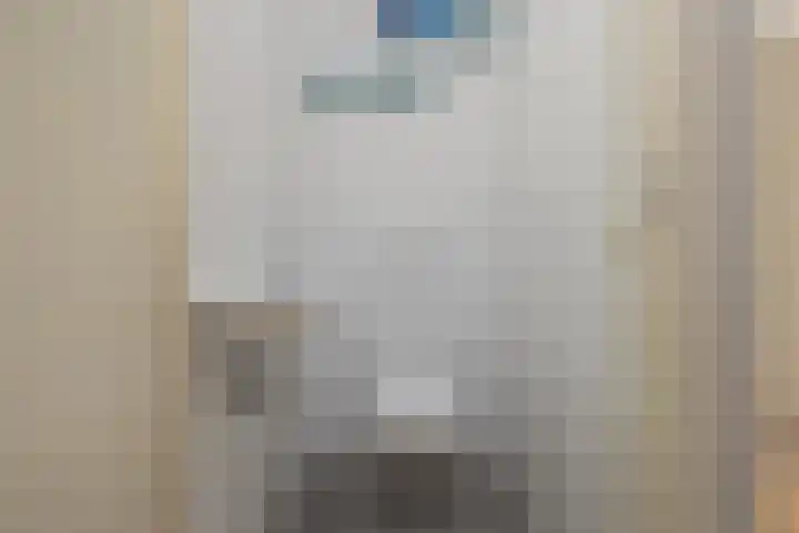 Wouda 10 Hillegom thumbnail 24