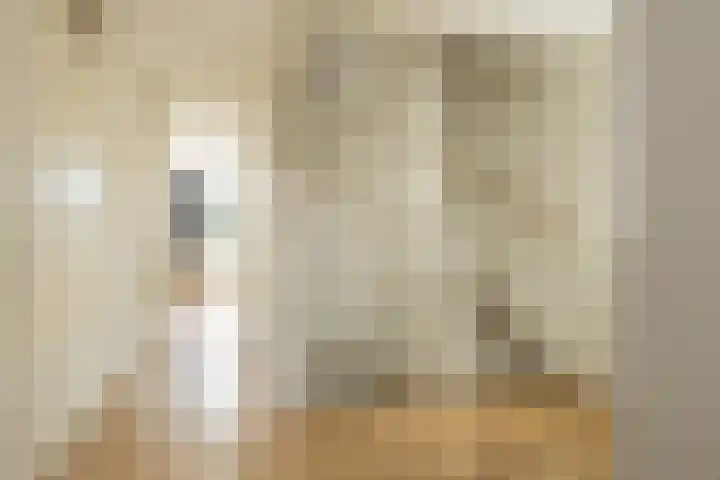 Wouda 10 Hillegom thumbnail 25