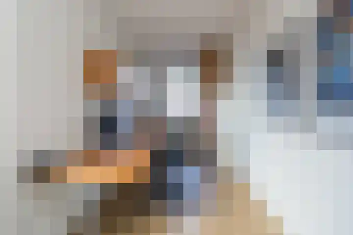 Wouda 10 Hillegom thumbnail 27