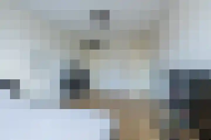 Wouda 10 Hillegom thumbnail 31