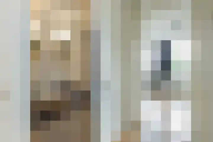 Wouda 10 Hillegom thumbnail 32