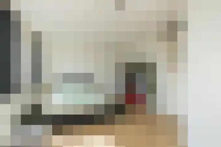 Wouda 10 Hillegom thumbnail 39