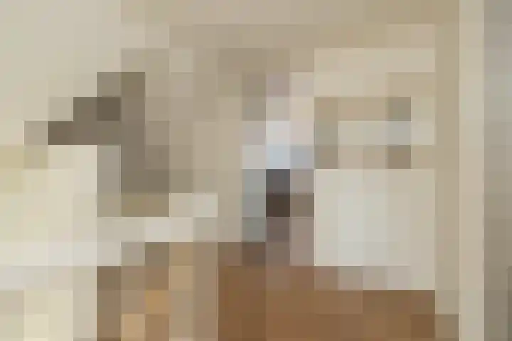 Wouda 10 Hillegom thumbnail 41