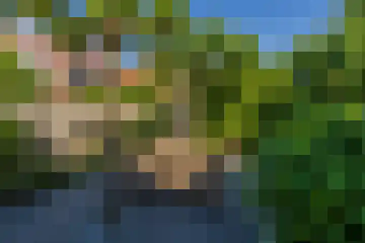 Wouda 10 Hillegom thumbnail 54