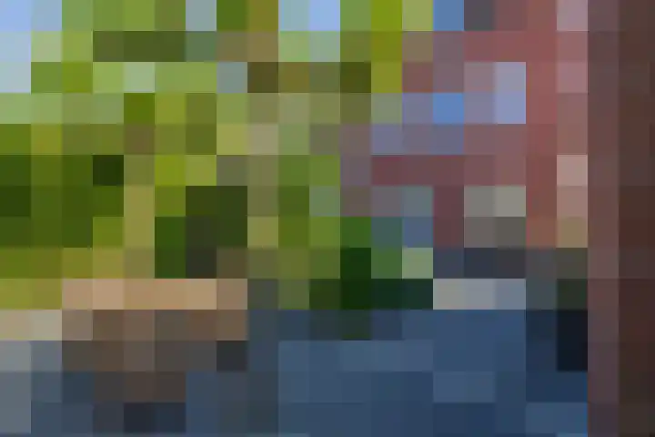 Wouda 10 Hillegom thumbnail 55