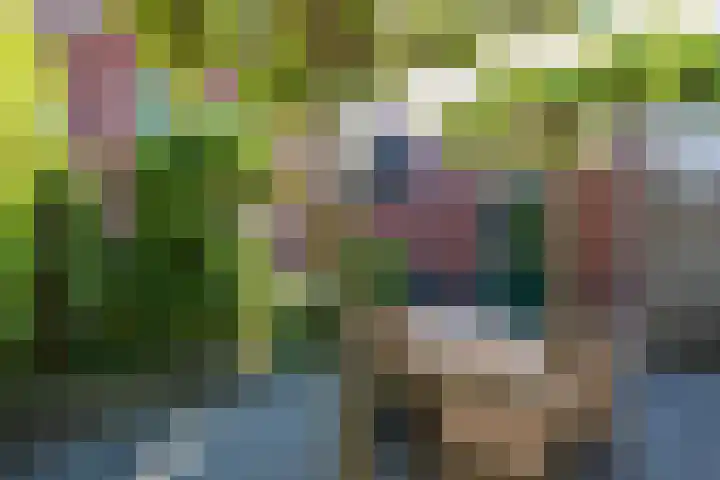 Wouda 10 Hillegom thumbnail 56
