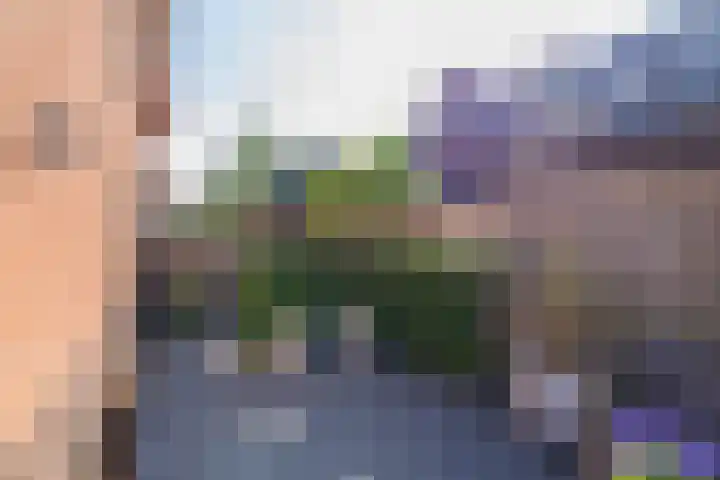 Wouda 10 Hillegom thumbnail 57