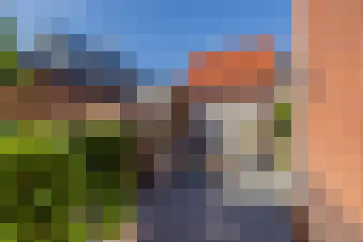 Wouda 10 Hillegom thumbnail 58