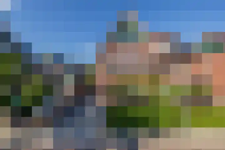 Wouda 10 Hillegom thumbnail 63