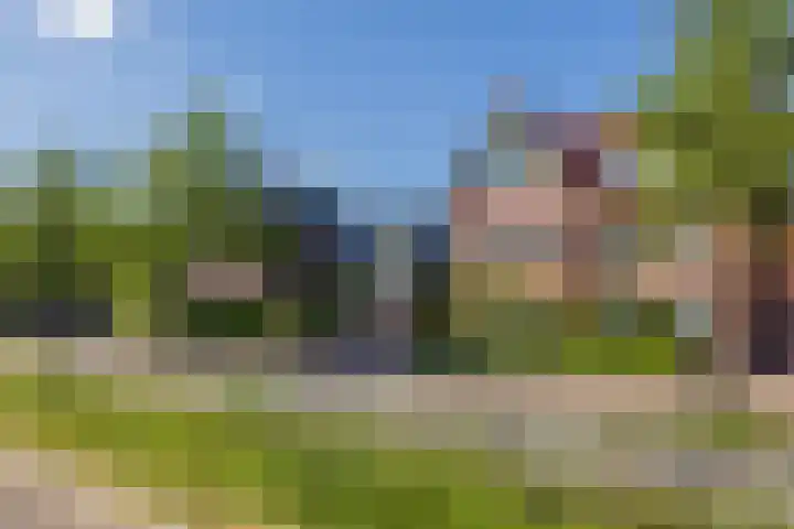 Wouda 10 Hillegom thumbnail 64