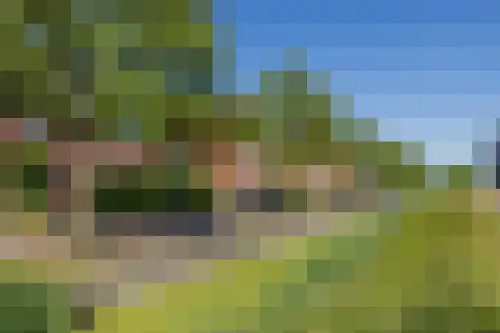 Wouda 10 Hillegom thumbnail 65
