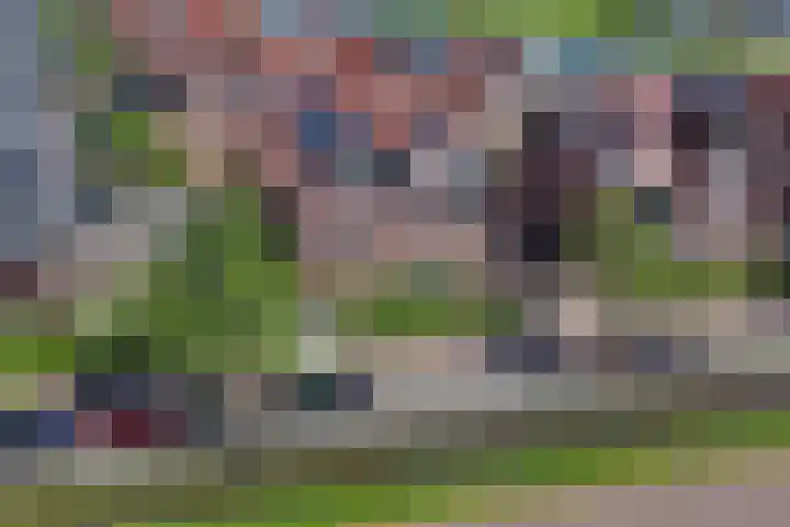Wouda 10 Hillegom thumbnail 67
