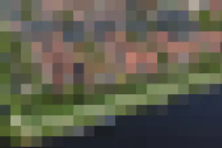 Wouda 10 Hillegom thumbnail 70