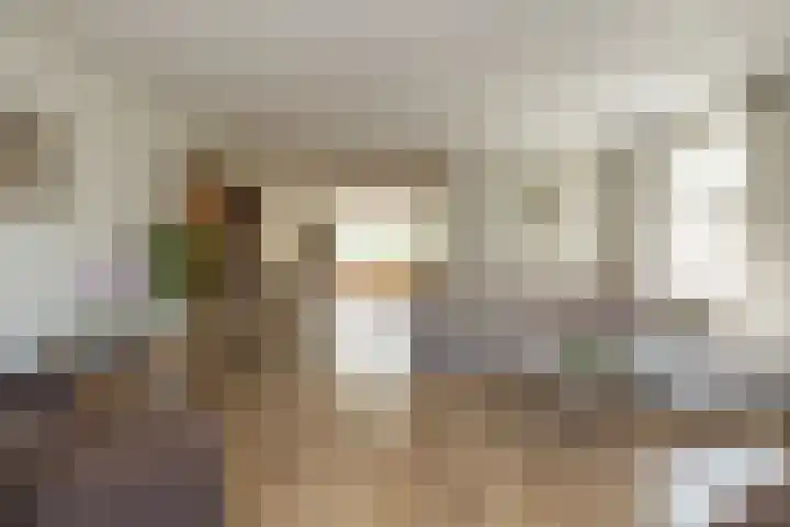 Wouda 10 Hillegom thumbnail 8