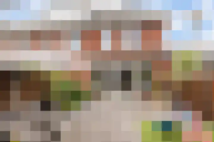 Wouda 31 Hillegom thumbnail 11