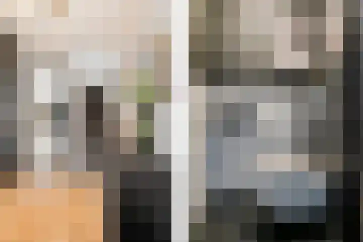 Wouda 31 Hillegom thumbnail 15
