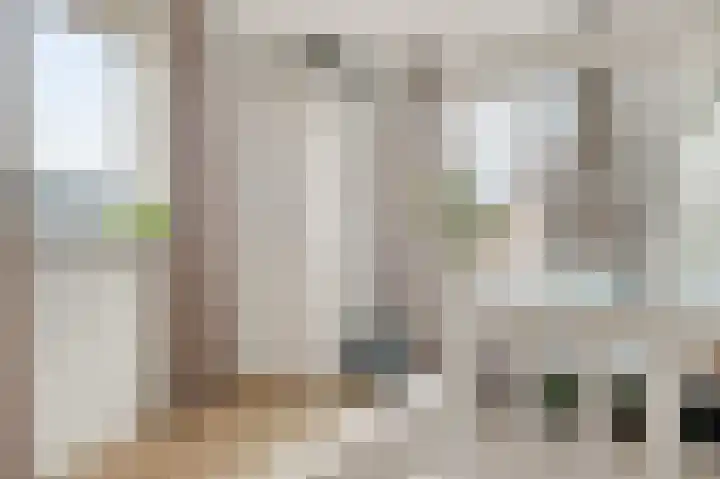 Wouda 31 Hillegom thumbnail 21