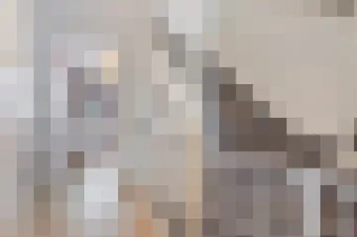 Wouda 31 Hillegom thumbnail 23