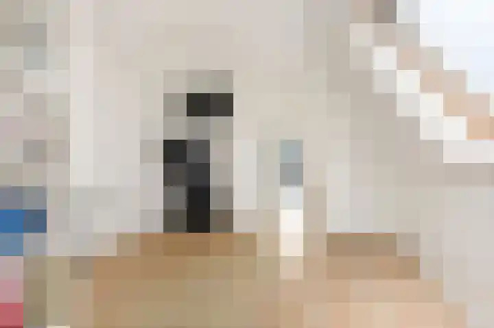 Wouda 31 Hillegom thumbnail 25