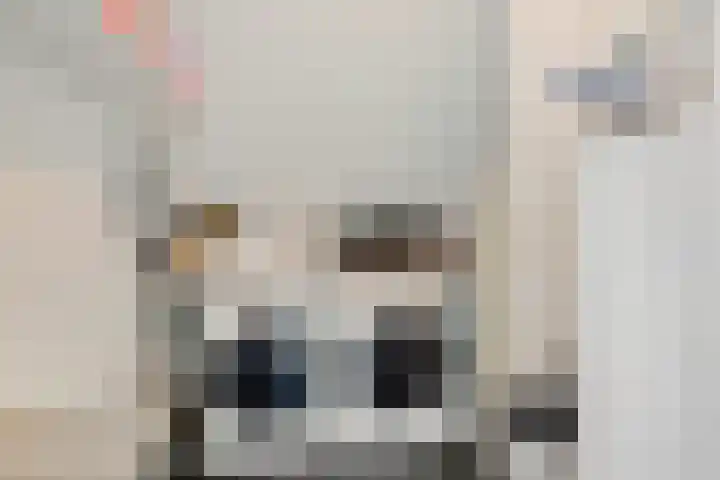 Wouda 31 Hillegom thumbnail 26
