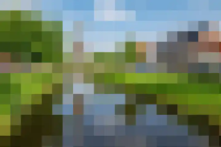 Wouda 31 Hillegom thumbnail 32