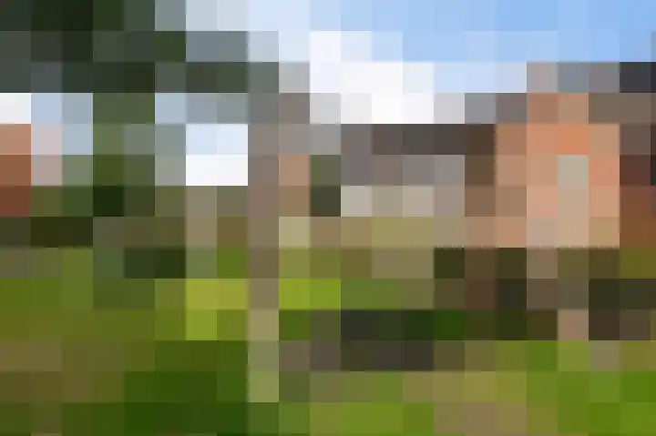 Wouda 31 Hillegom thumbnail 33