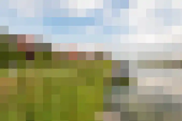 Wouda 31 Hillegom thumbnail 34