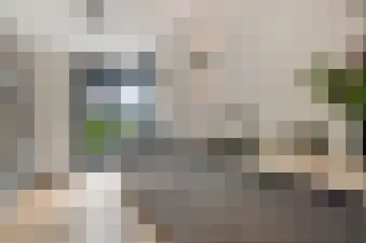 Wouda 31 Hillegom thumbnail 6