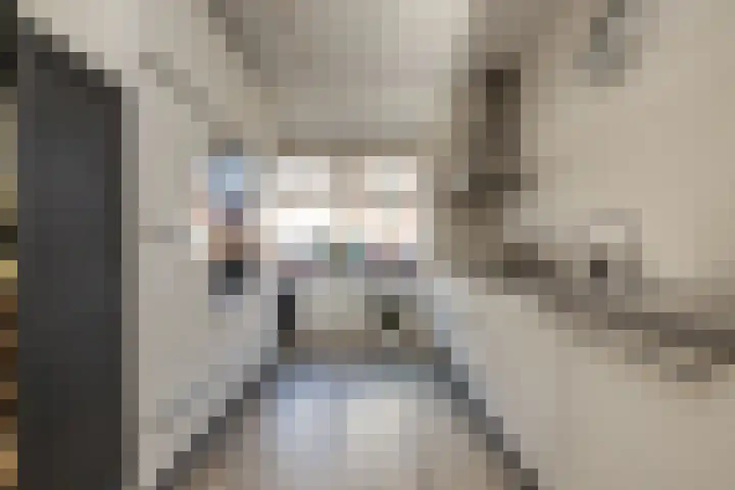 Wouda 44 Hillegom thumbnail 12