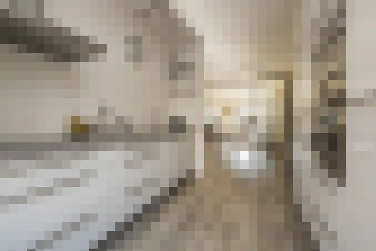 Wouda 44 Hillegom thumbnail 14