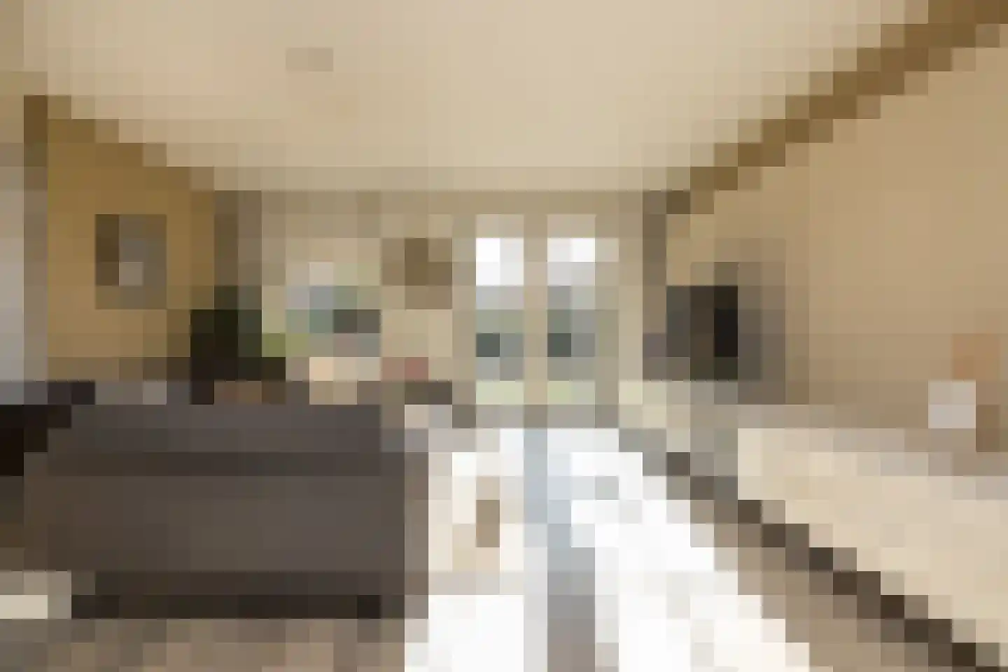 Wouda 44 Hillegom thumbnail 5