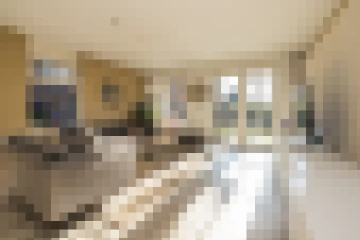 Wouda 44 Hillegom thumbnail 6